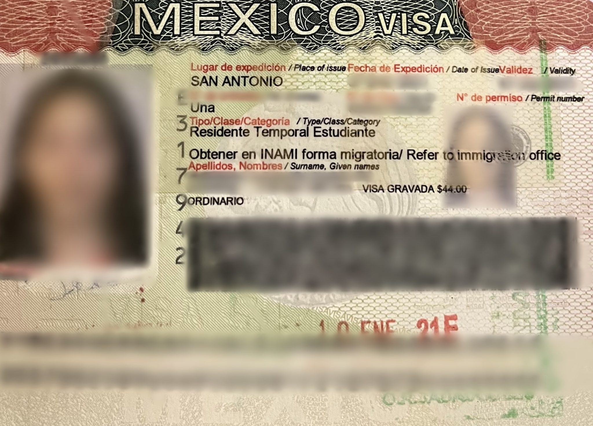 the-img-experience-how-to-get-a-mexican-student-visa